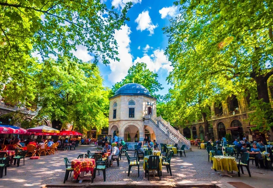 Bursa Turu VIP Ulaşım