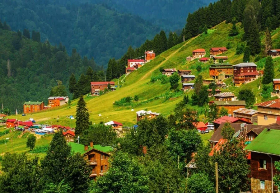 Istanbul - Artvin VIP Transfer