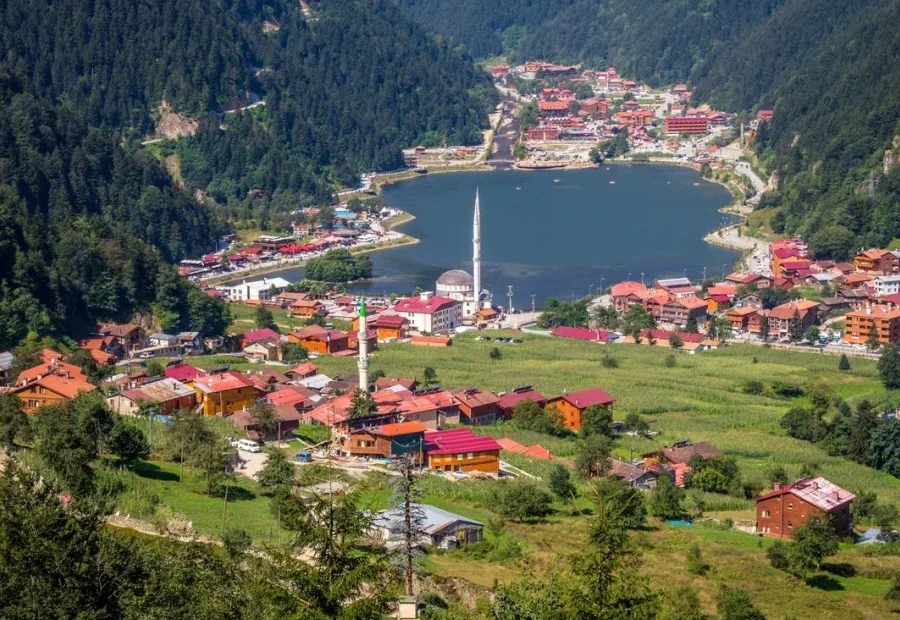 Ordu - Istanbul VIP Transfer